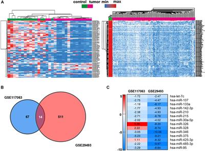 Circulating Exosomal MiR-107 Restrains Tumorigenesis in Diffuse Large B-Cell Lymphoma by Targeting 14-3-3η